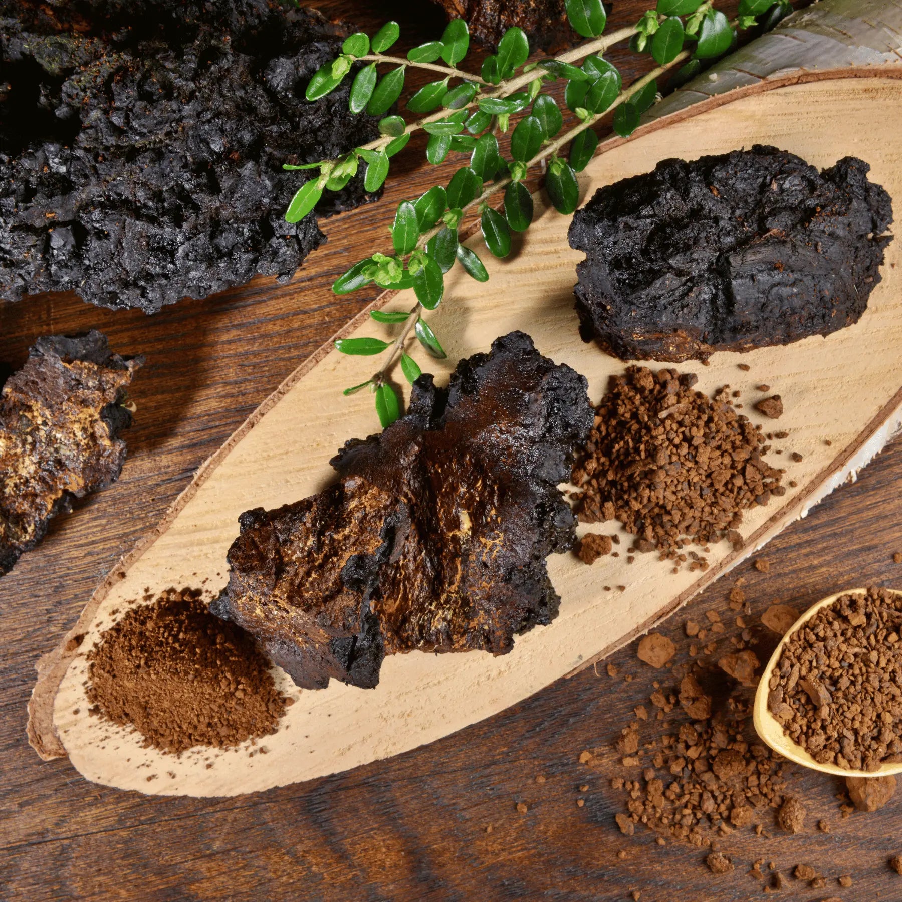 Chaga-Mushroom-The-Ultimate-Wellness-Booster Krypton Energy Labs