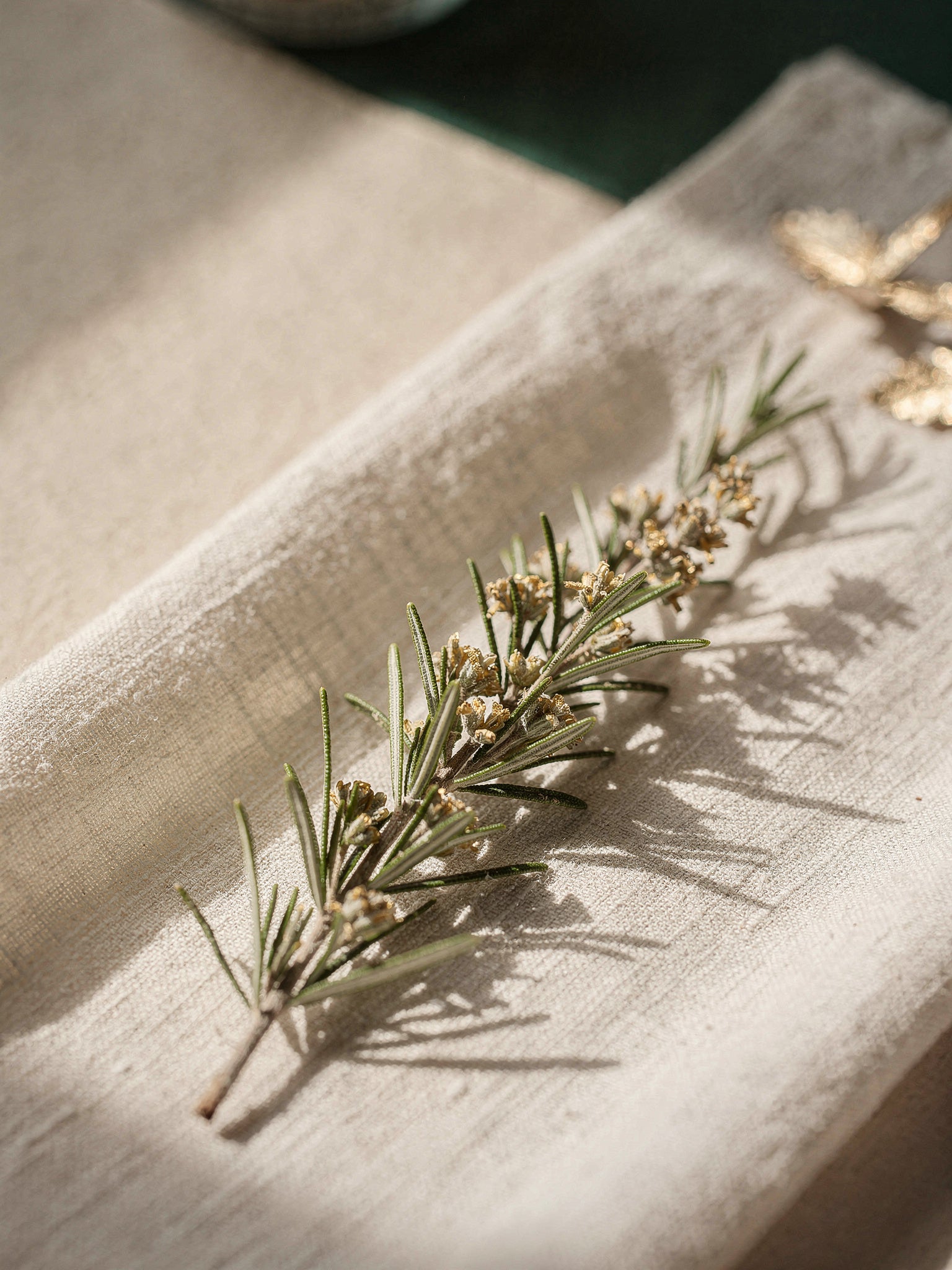 A single rosemary sprig laid diagonally across cream linen, deep green needles in soft directional light.